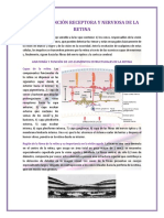 Funcion Receptora y Nerviosa de La-Retina