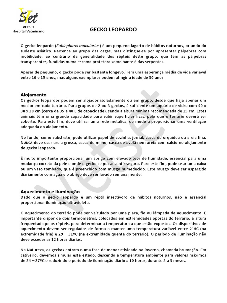 Gecko | PDF