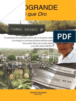 TambograndeValeMásQueOro.pdf