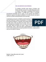 TOTAL DE DIENTES EN UNA PERSONA.docx