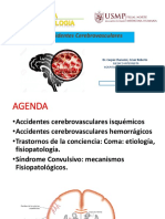 Accidentes Cerebrovasculares: Dr. Carpio Chanamé, César Roberto