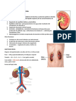 3ra Parte Nefro