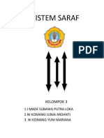 SISTEM SARAF.docx