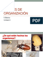 ppt unidad2.ppt