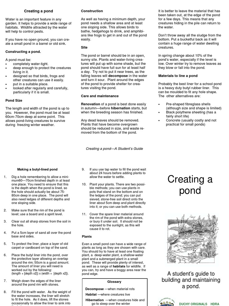 Creating A Pond | PDF | Pond | Habitat