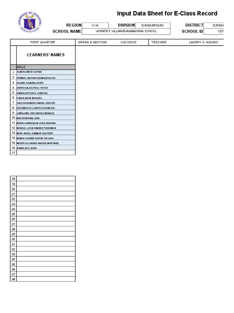 Grade 6 E-Class Record Input Data | PDF