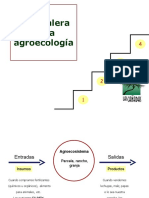 agroecologiappt-131102084740-phpapp02.ppt