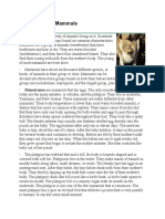 Three Types of Mammals Reading PDF