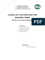 Levels of Culture and The Bagobo Tribe: Report in Cultures in Mindanao