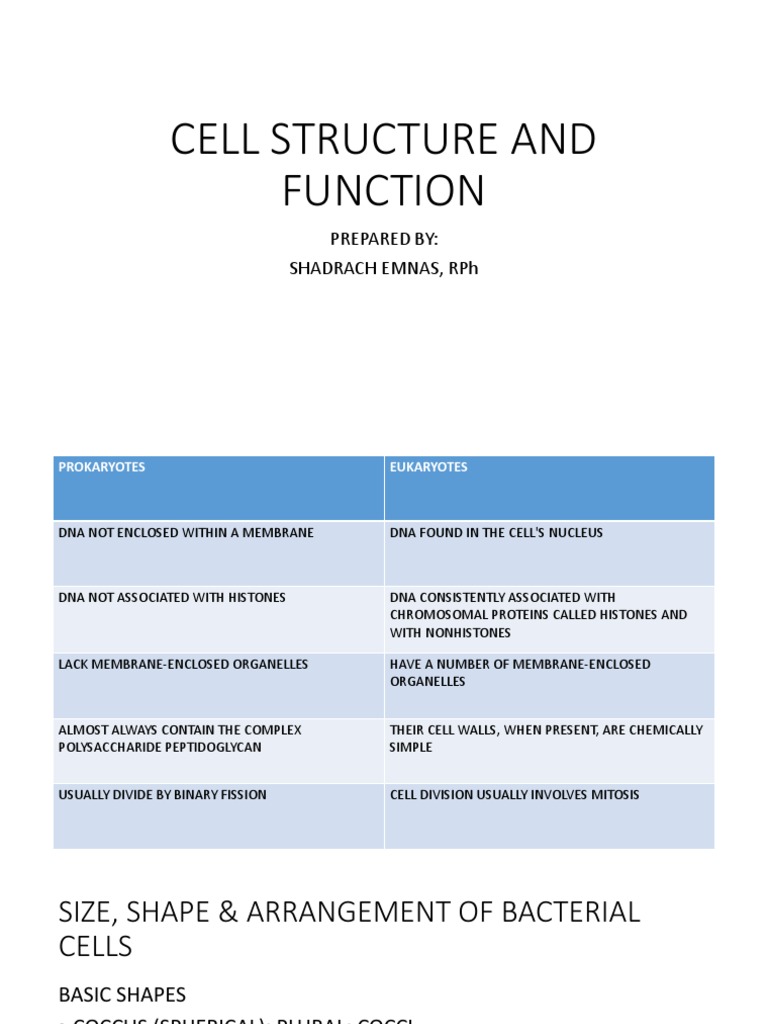 3 Cell Structure and Function | PDF