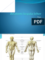 Anatomi Kepala Dan Leher