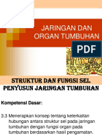 Bab Jaringan Tumbuhan