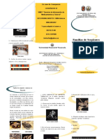 Triptico Familia de Serpientes Venenosas PDF