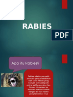 Rabies 3