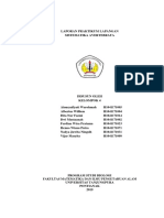 Laporan Praktikum Lapangan Arthropoda