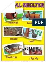 Animal Shelter PDF