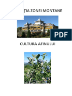 cultura-de-afin-2017.pdf