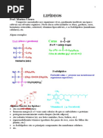 Apostila Lipideos Marina