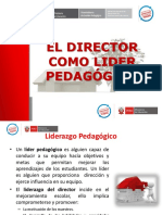 Director Lider Pedagogico