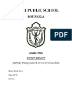 Delhi Public School: Rourkela