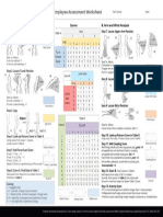 REBA Employee Assessment Worksheet: A. Neck, Trunk and Leg Analysis