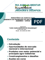 Agro-indústria em Moçambique: Oportunidades e Desafios