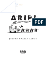 Aripi in Pahar - Stefan Traian Iancu