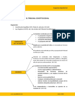 esquema Tribunal Constitucional.pdf