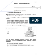 Evaluación Sistema Respiratorio