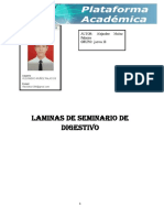 Seminario de Digestivo 3