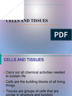 Cells and Tissues