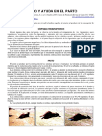21-parto_y_ayuda_en_el_parto.pdf