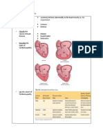 Cardiomayopathy