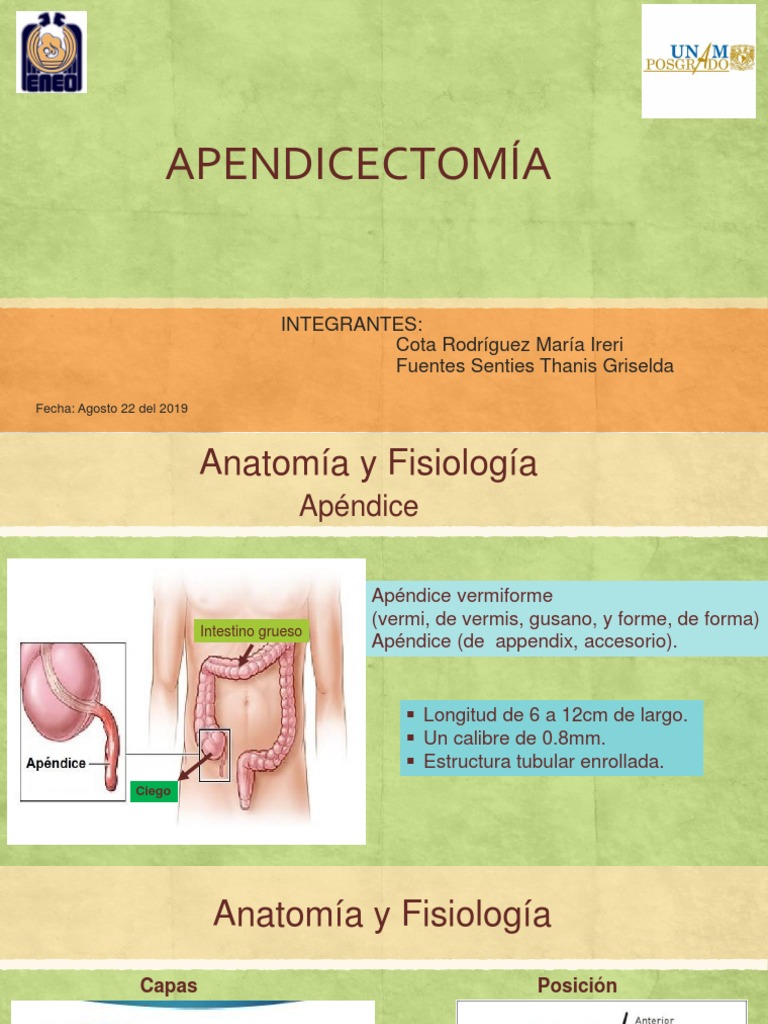 Anatomía y Técnica de Apendicectomía | PDF | Cirugía | Ciencias de la Salud