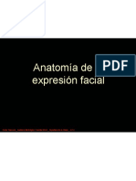 Musculos de La Expresion Facial PDF