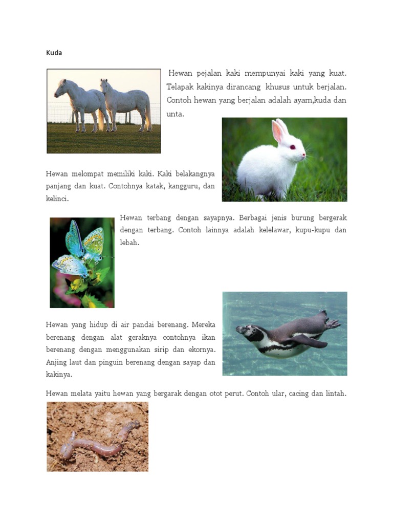 Alat Gerak Pada Hewan