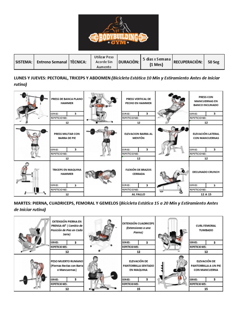 Rutinas 5 Dias Gym Rutina Gym | PDF | Levantamiento de pesas | Deportes