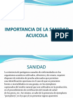 IMPORTANCIA-DE-LA-SANIDAD-ACUICOLA-CLASE-1.pptx