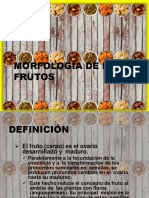 Clasificacion Frutos