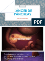 Cáncer de Páncreas