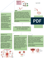 Structural Organization of The Human Body