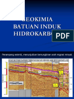 Geokimia Batuan Induk