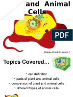 Plant and Animal Cell