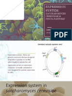 Expression System:: Saccharomyces Cerevisae & Piscia Pastoris