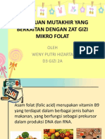 Penemuan Mutakhir Yang Berkaitan Dengan Zat Gizi Mikro