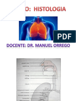 Histologia Del Aparato Respiratorio