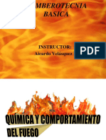 Quimica Del Fuego