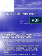 Agua y Sales Minerales