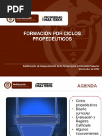 MEN -Presentacion_Ciclos Ejecutiva 24-11-2014.pdf