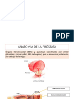 Patologia Prostatica